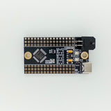 Isik's Tech Hedgehog CAN/USB Klipper I/O Expander, 31 Pins (Pre-Order) - Pjotr3DShop